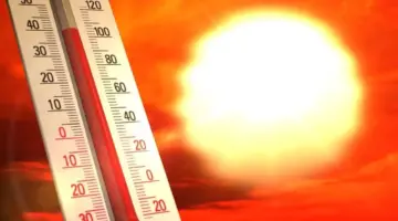 درجات الحرارة غدا..طقس شديد الحرارة نهارًا والقاهرة 36 درجة -جريدة المال